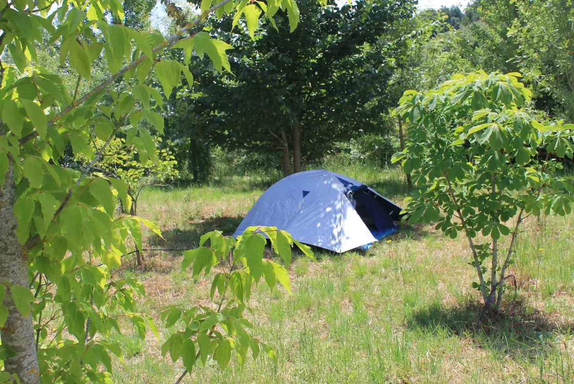 Lirium - Harmony and sustainability