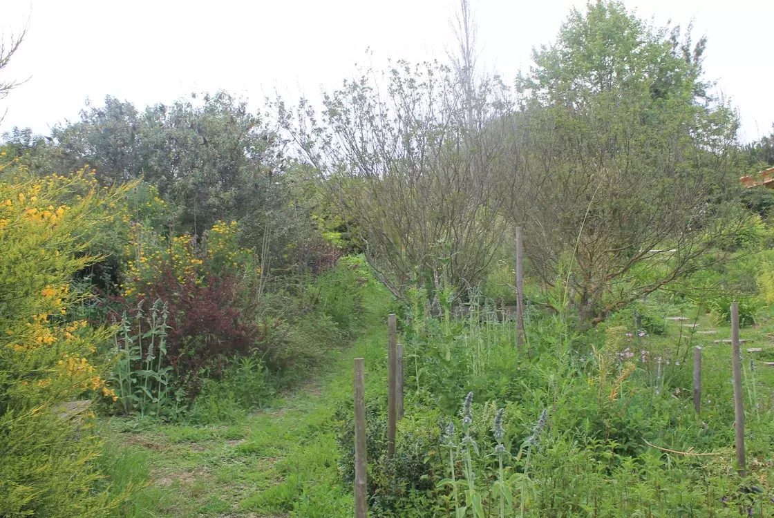 Lirium - Harmony and sustainability