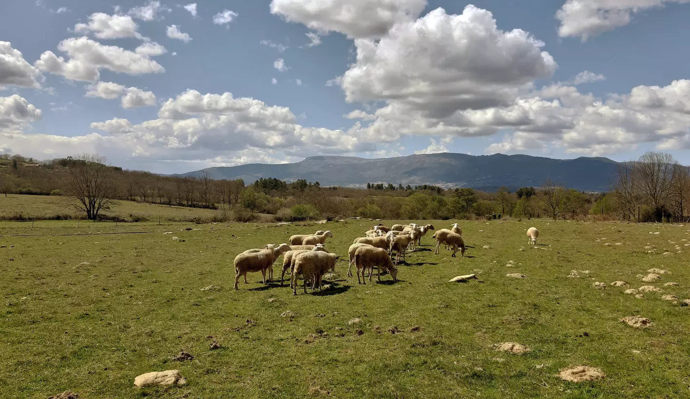 Lugar de acampamento perto da Serra da Estrela
