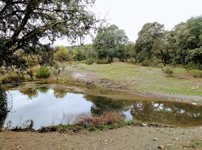 Country Club Cabañeros