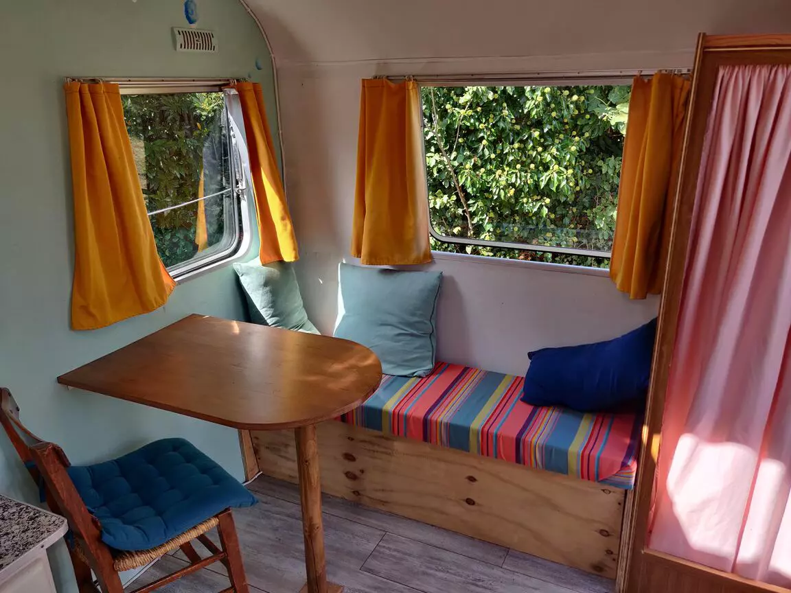 Choupette dans la Prairie du Marais Poitevin