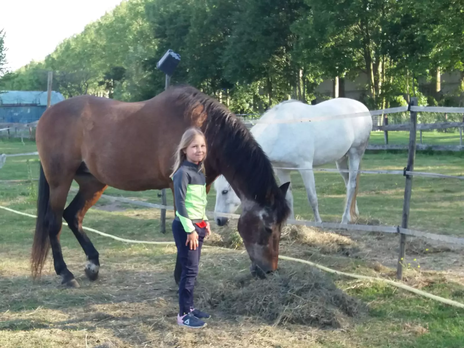 Caravan naast de paarden