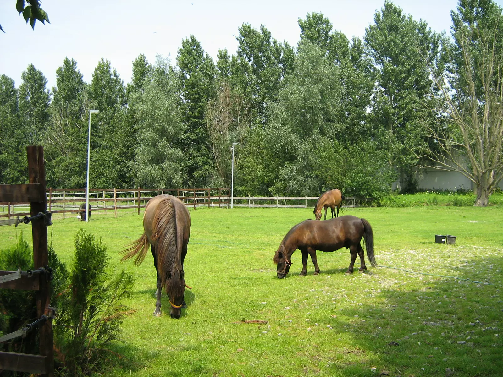 Caravan in het veld vlakbij natuurgebied