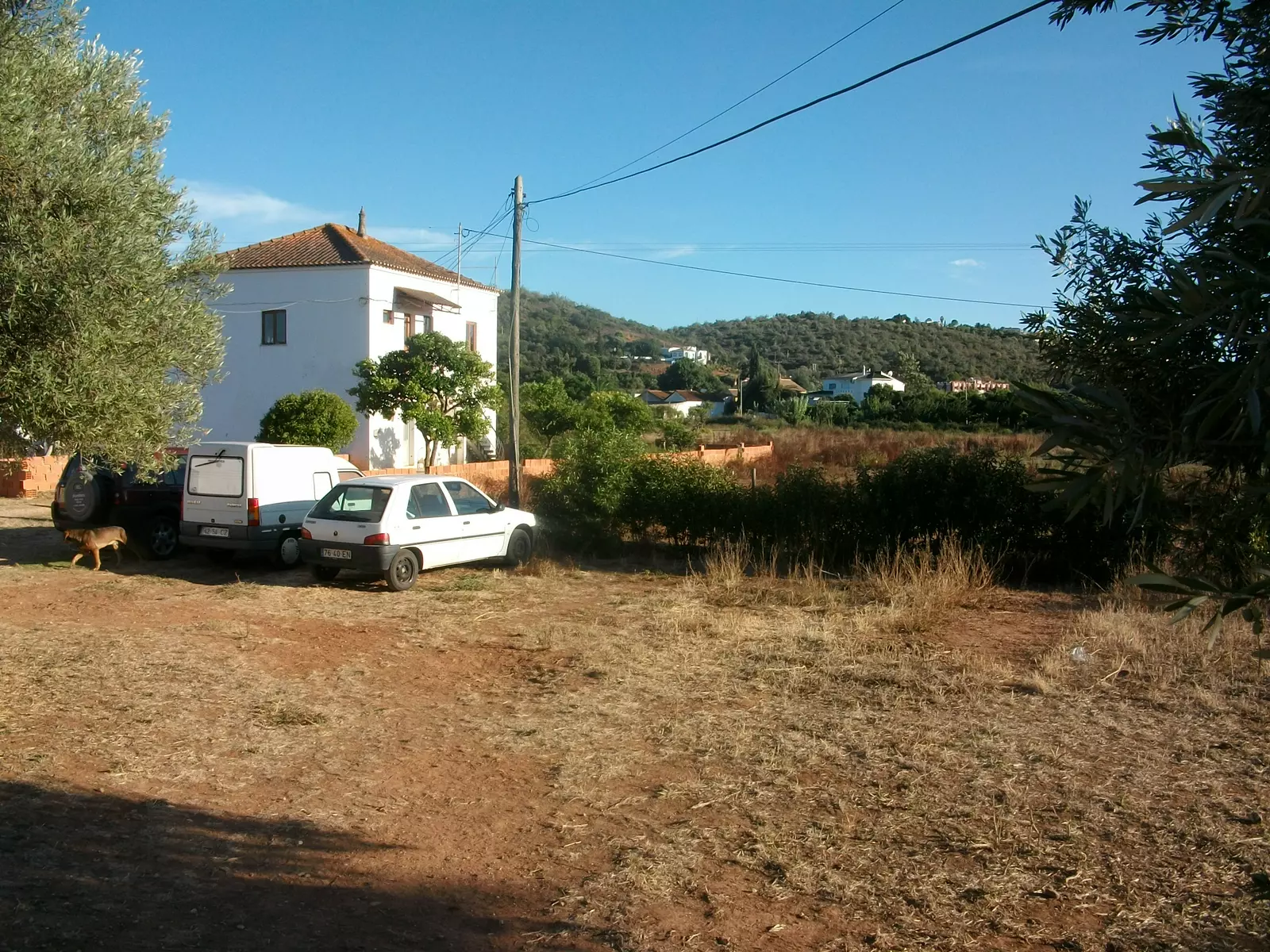 Quinta Carolino