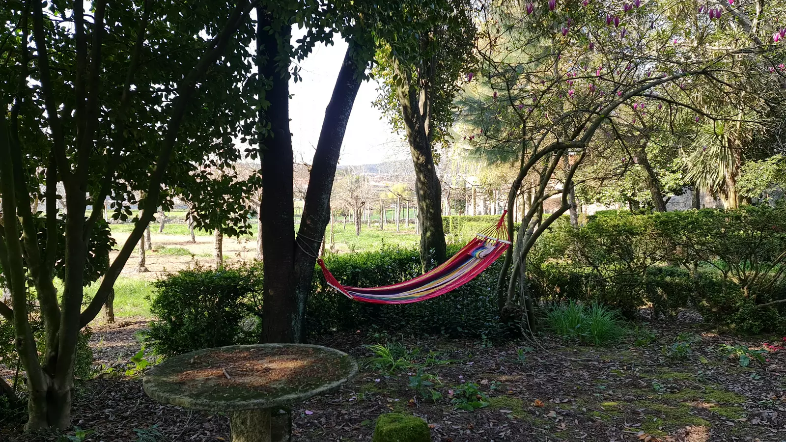 QUINTA DO SOUTO-LANDIM