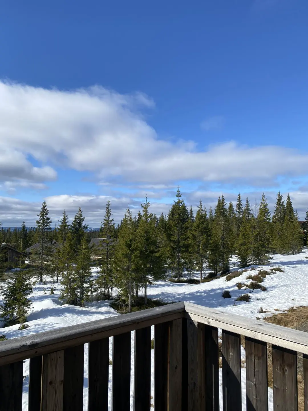 Sjusjøen Hytteutleie AS