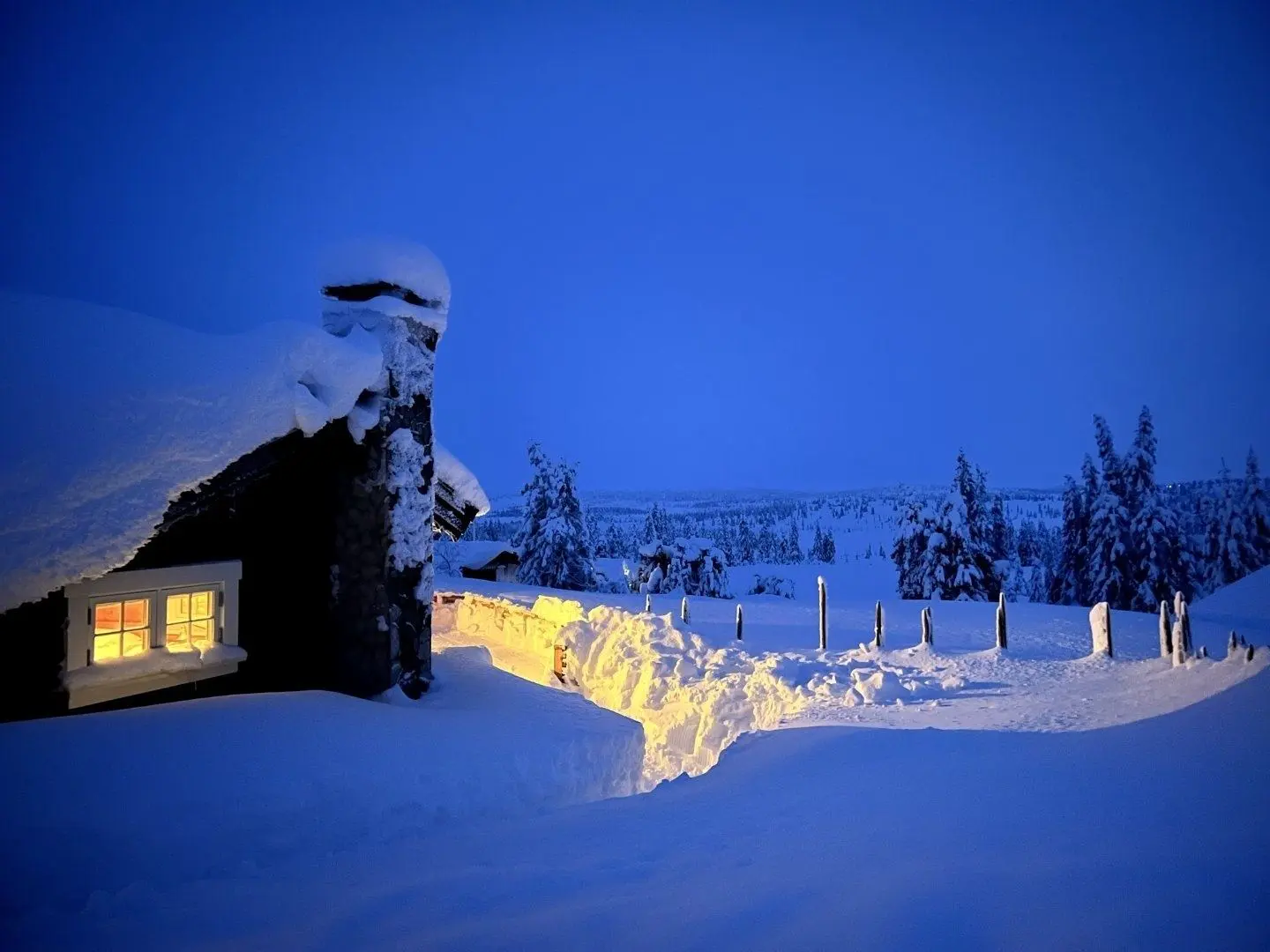 Aksjøen 90 Fjellvitt