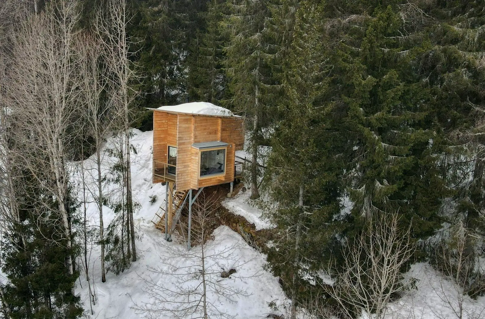 LAUV Treetop cabins and experiences