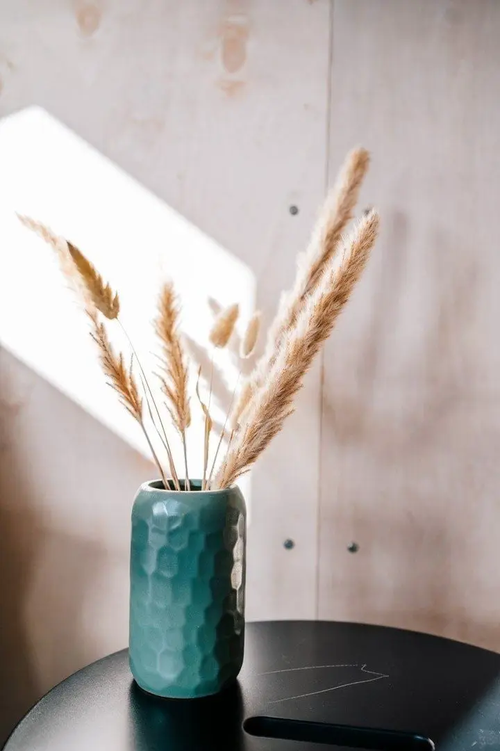 Skårungen Lofoten resort