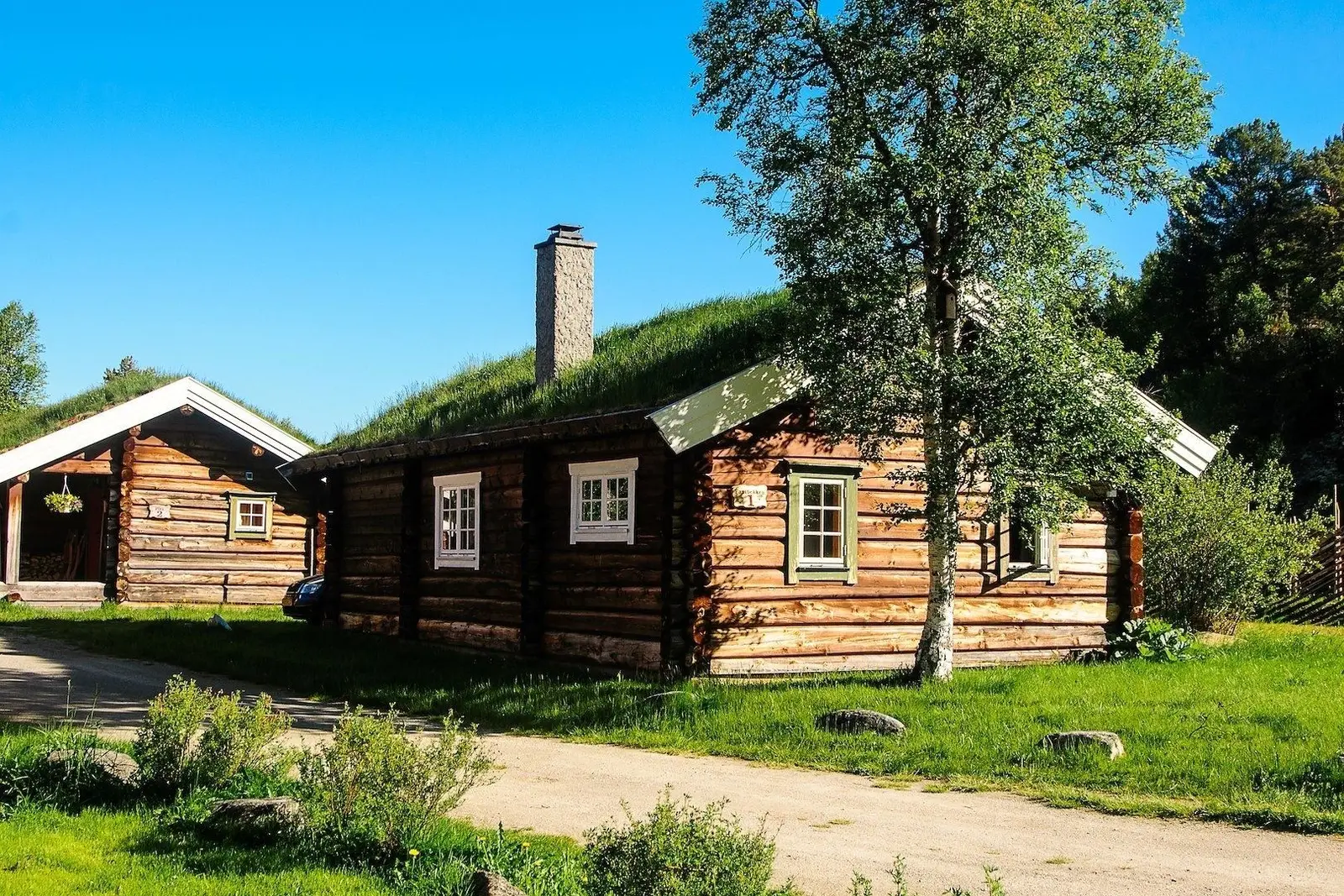 campspace_types.deserted i Sollia – Log cabin max 5 persons
