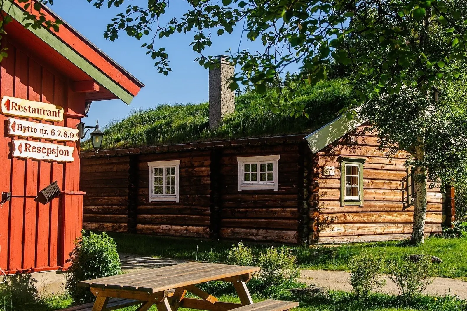 campspace_types.deserted i Sollia – Log cabin max 6 persons