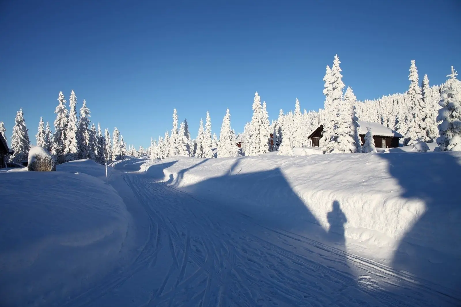Cabin i Sjusjøen – Nedre Heggberglia 62