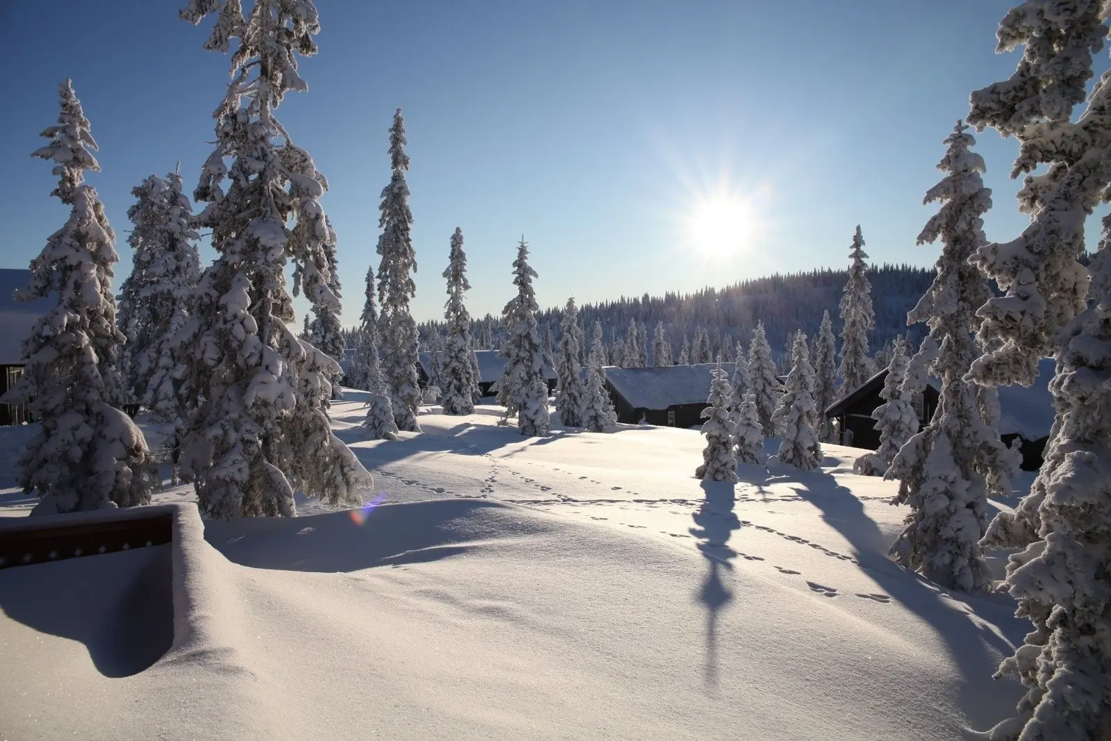 Cabin i Sjusjøen – Nedre Heggberglia 62 – photo 20