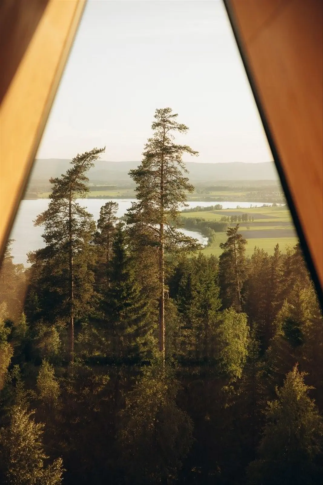 Treehouse i Gjesåsen – PAN 1 – photo 5