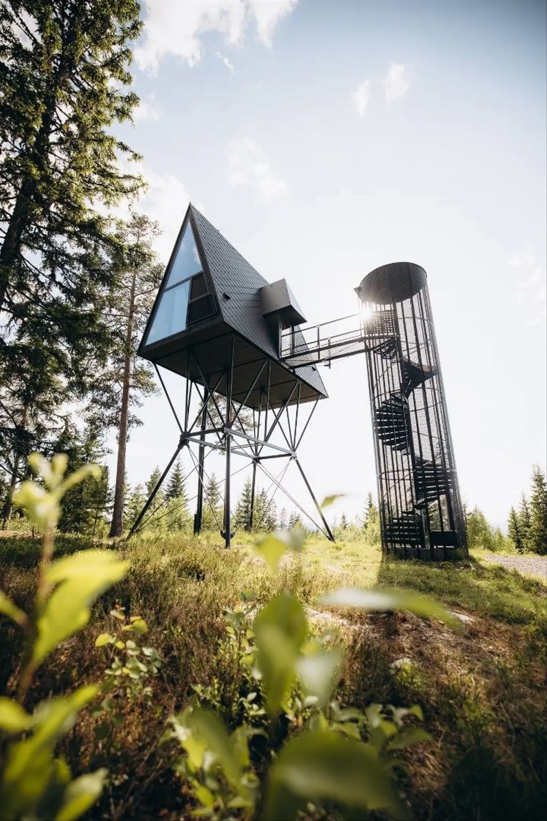 Treehouse i Gjesåsen – PAN 1 – photo 6