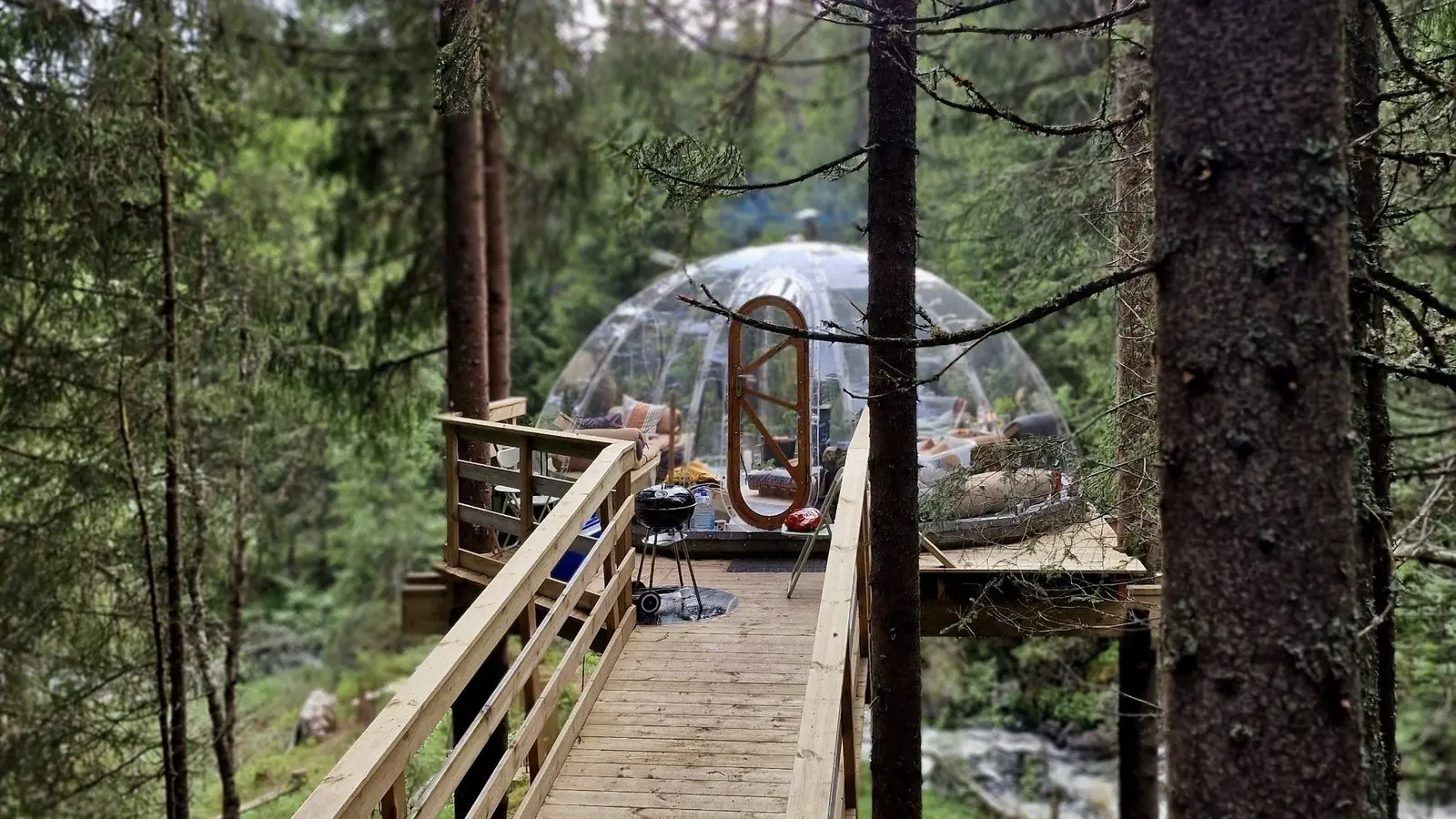 Glamping i Høydalsmo – Treetop igloo