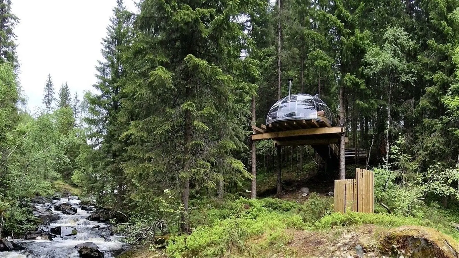 Cabin i Høydalsmo – Treetop igloo – photo 5