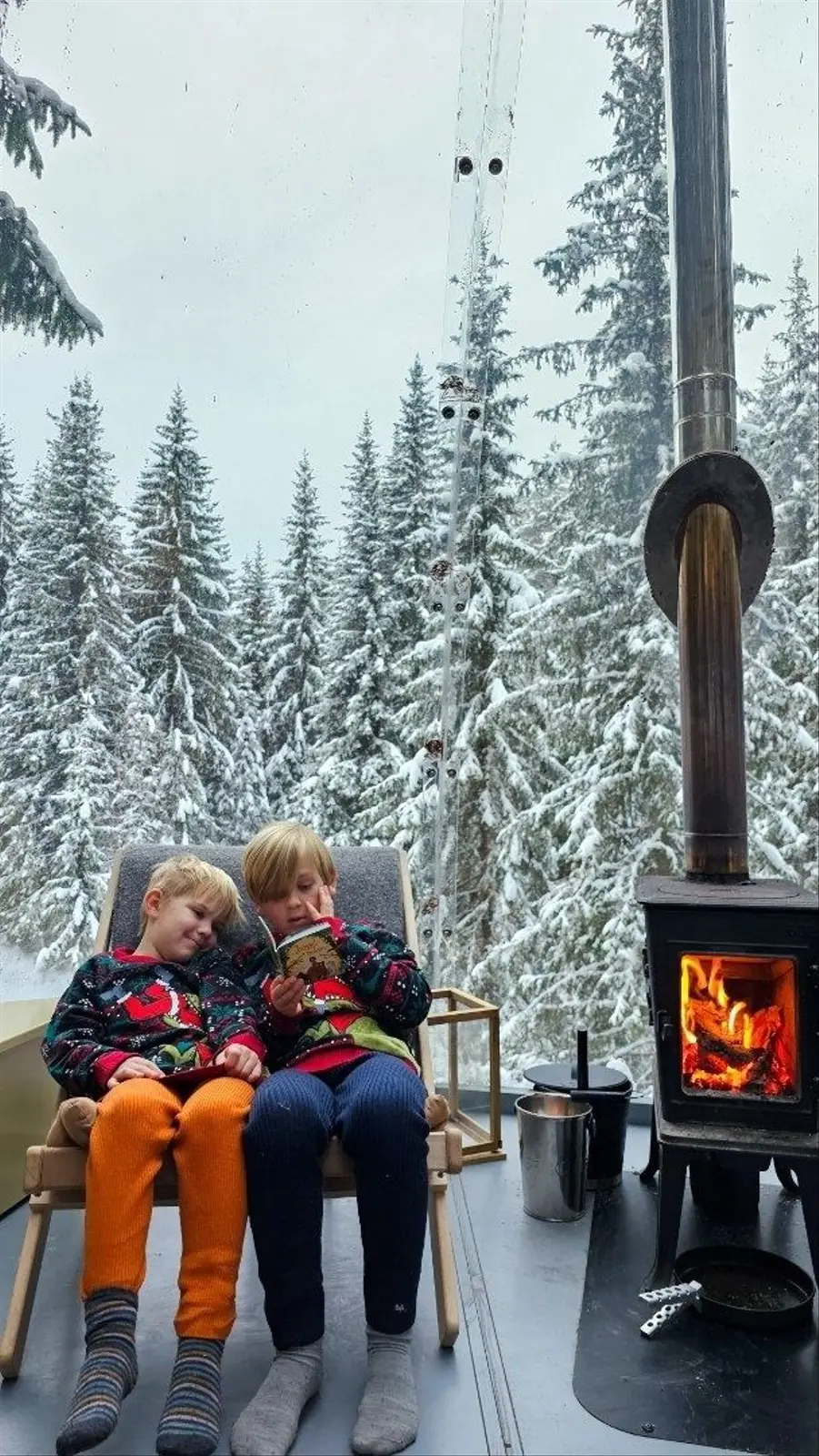 Cabin i Høydalsmo – Treetop igloo – photo 6
