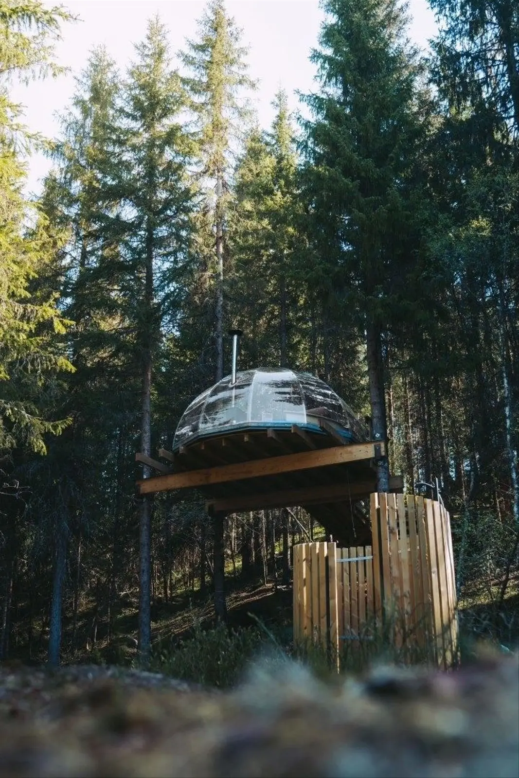 Cabin i Høydalsmo – Treetop igloo – photo 9