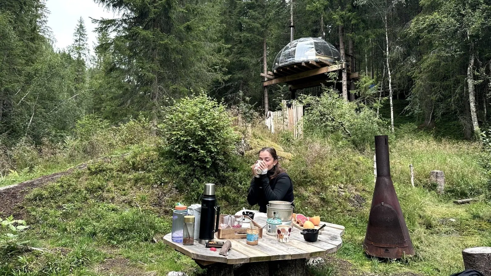 Cabin i Høydalsmo – Treetop igloo – photo 12