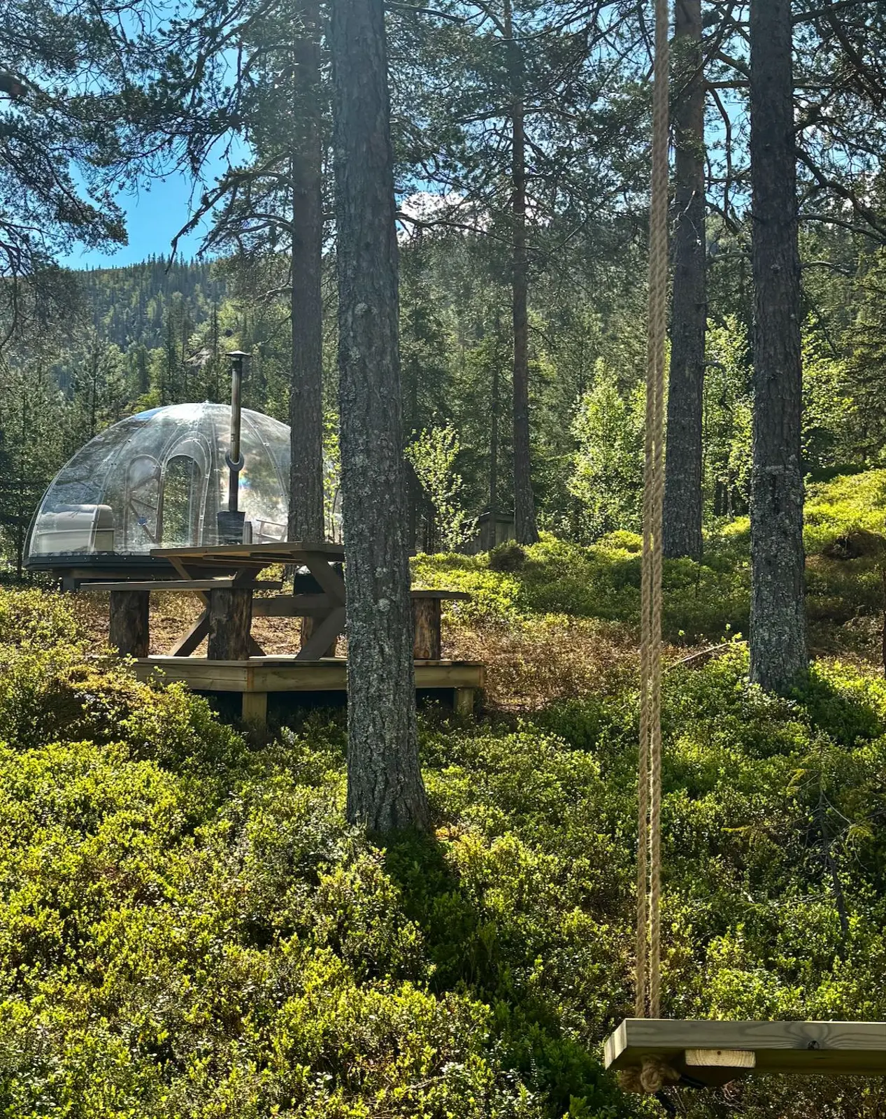 Glamping i Eggedal – Mountain Serenity in Eggedal – photo 6