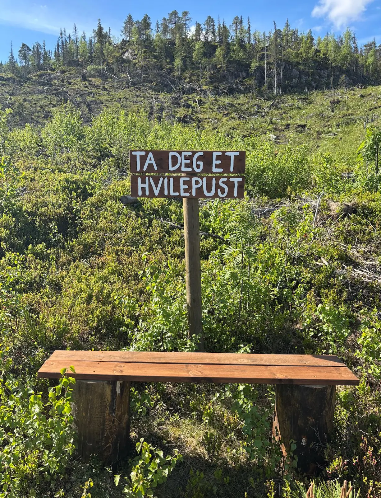 Glamping i Eggedal – Mountain Serenity in Eggedal – photo 10