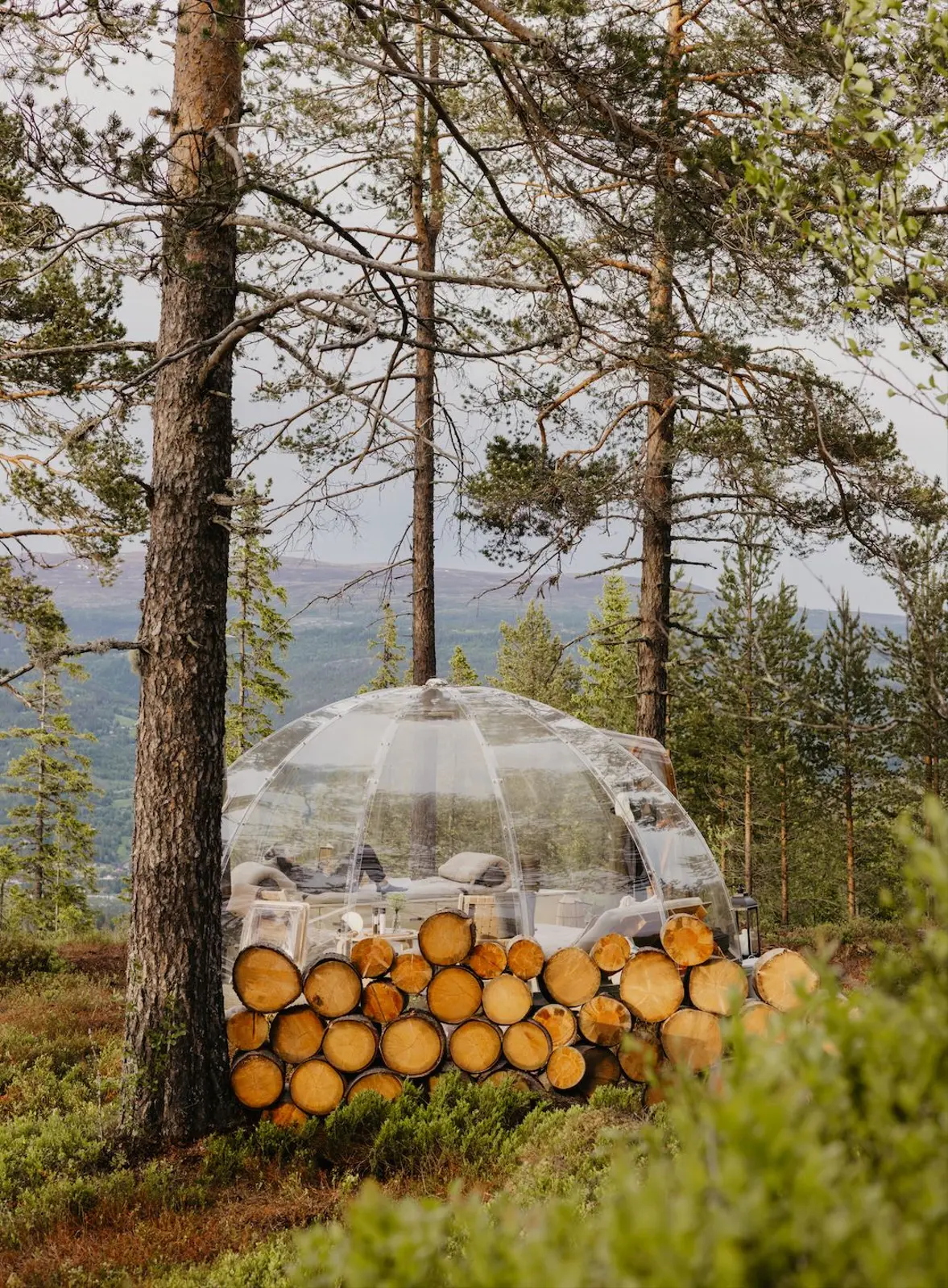 Glamping i Eggedal – Mountain Serenity in Eggedal – photo 11