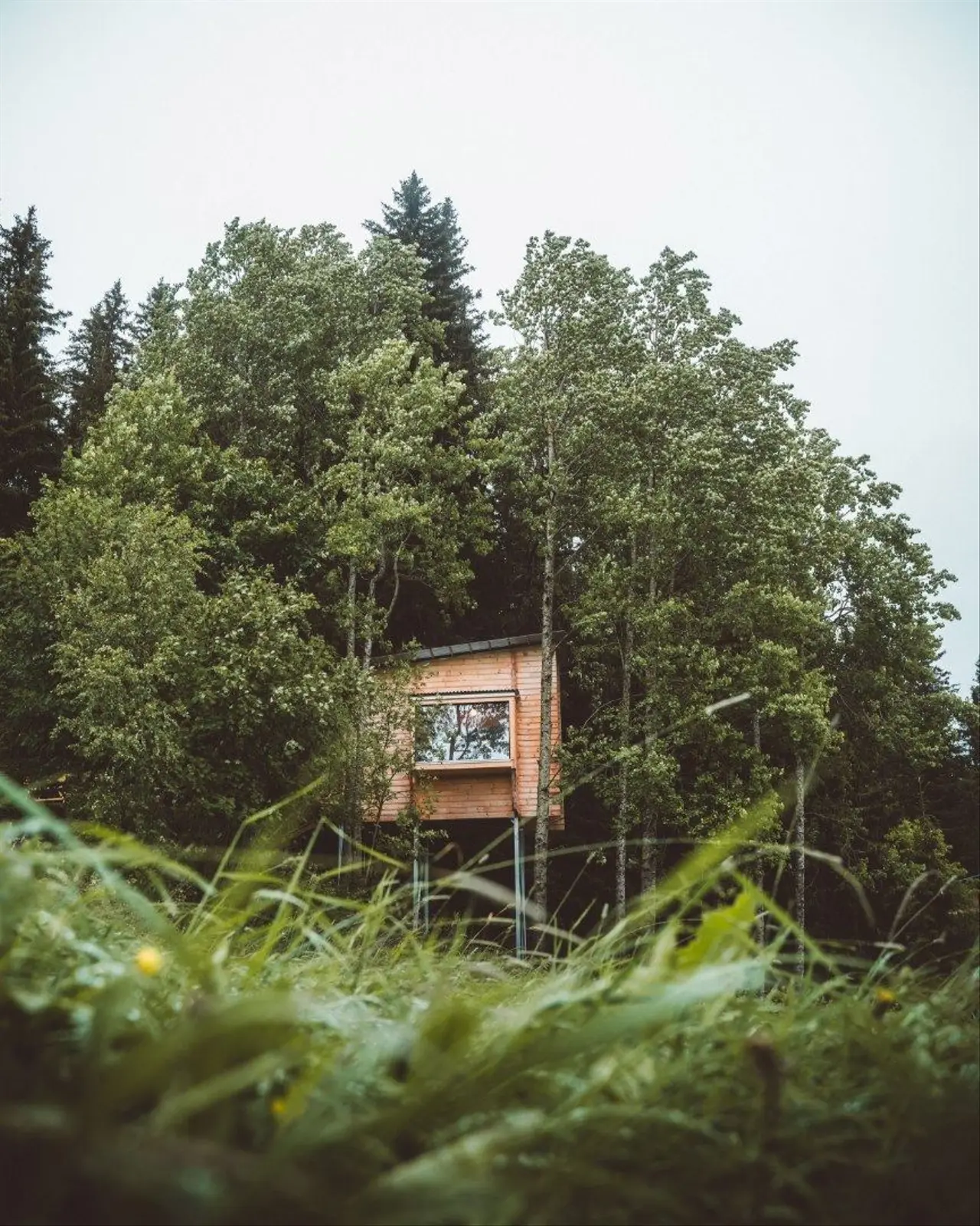 campspace_types.deserted i Feiring – Ospero