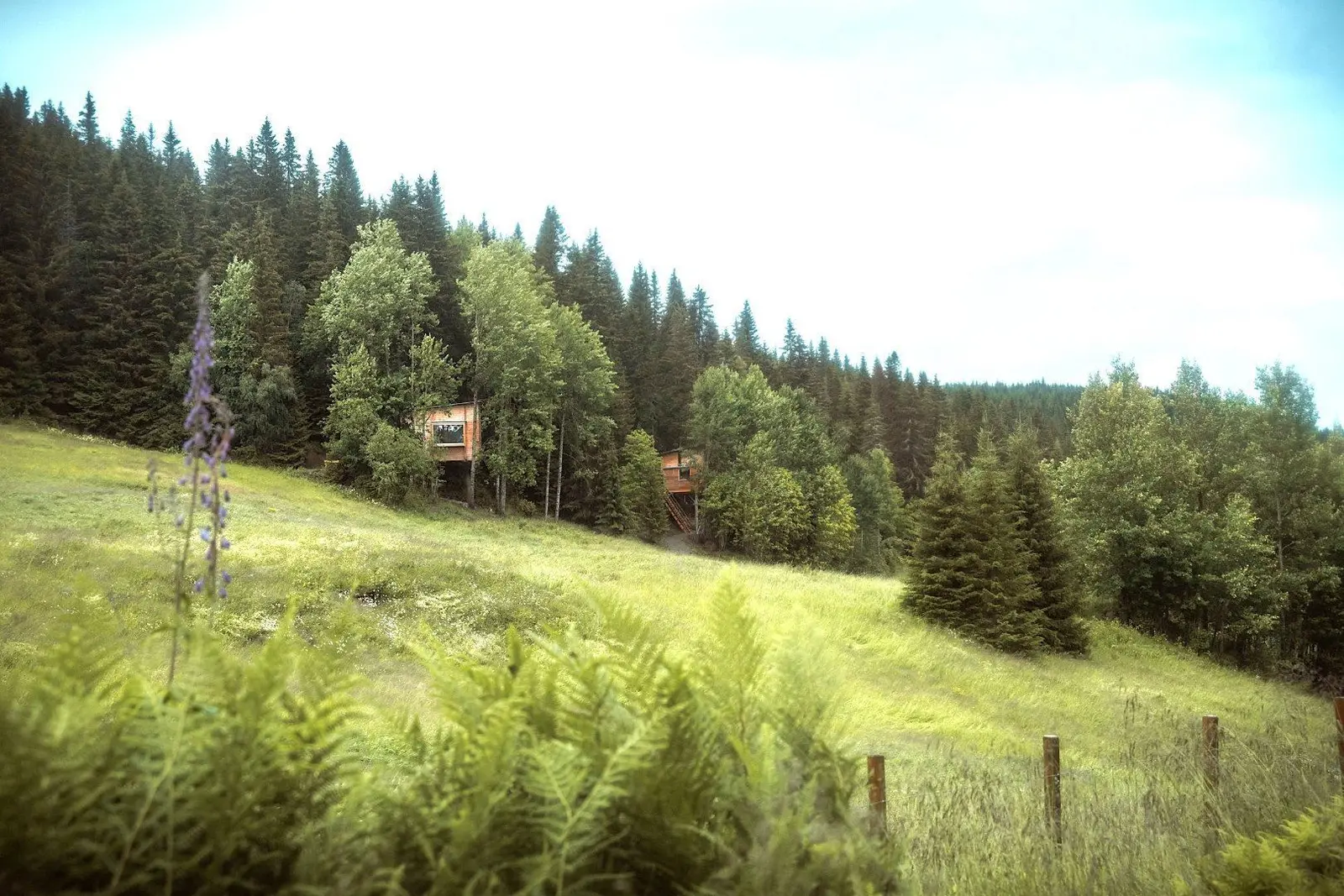 Cabin i Feiring – Ospero – photo 11