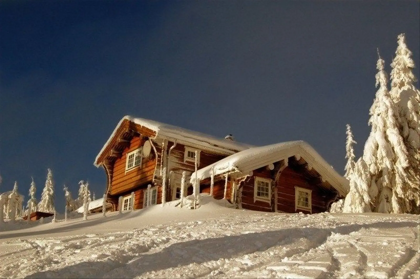 campspace_types.deserted i Sjusjøen – R986 Vidsyn