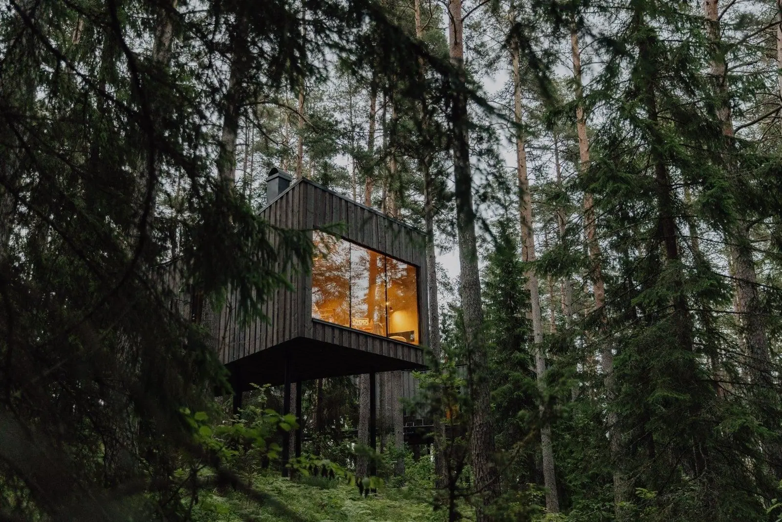 campspace_types.deserted i Holsbybrunn – Forest suite