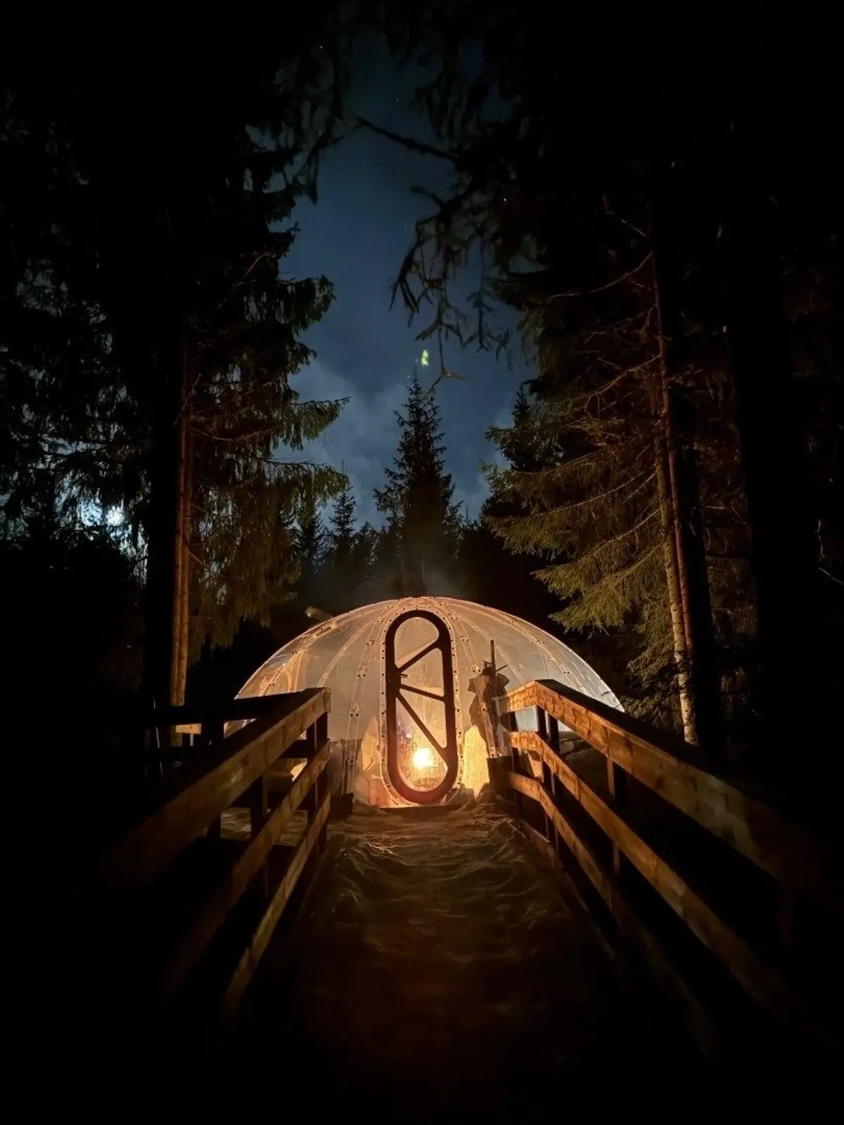 Hytte i Høydalsmo – Treetop igloo – photo 7