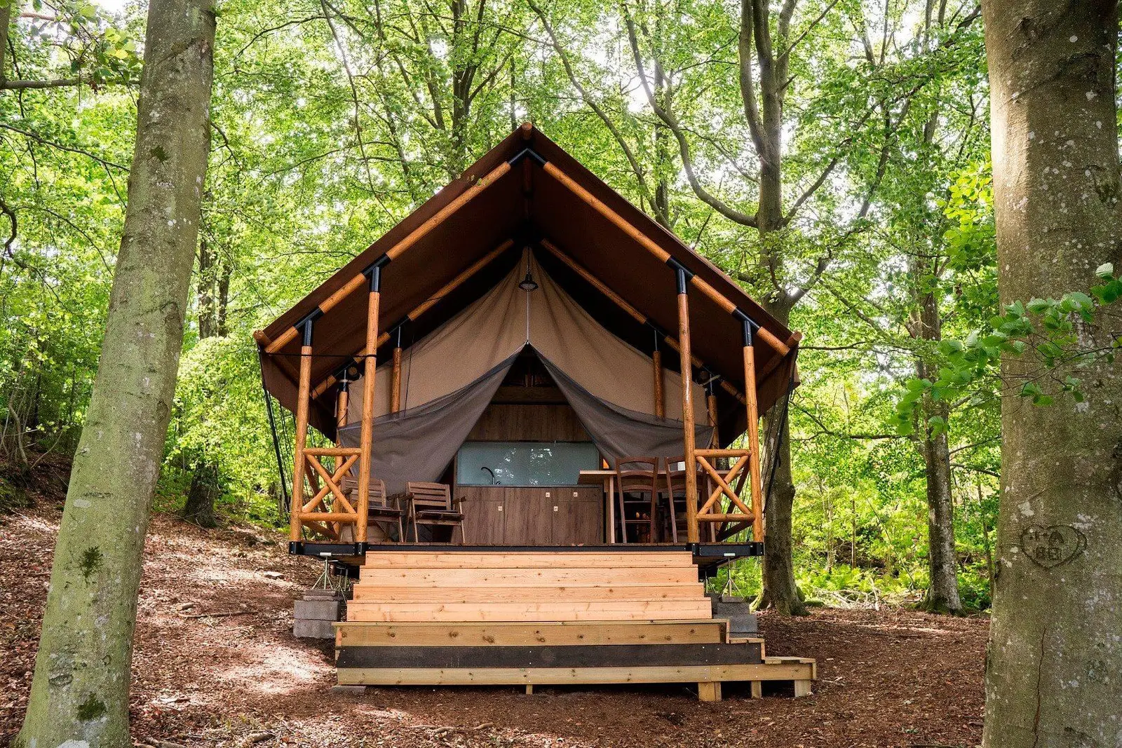 Glamping i Ljungskile – Glamping tent in beech forest