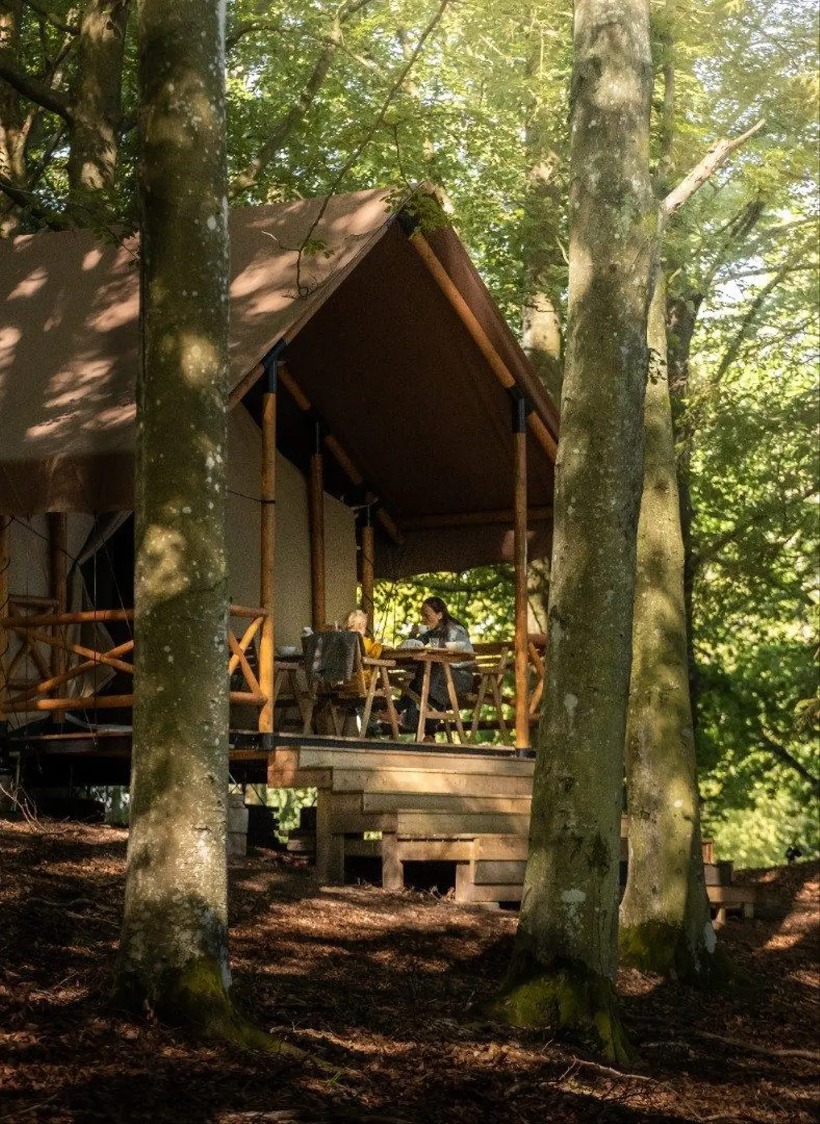 Cabane i Ljungskile – Glamping tent in beech forest – photo 5