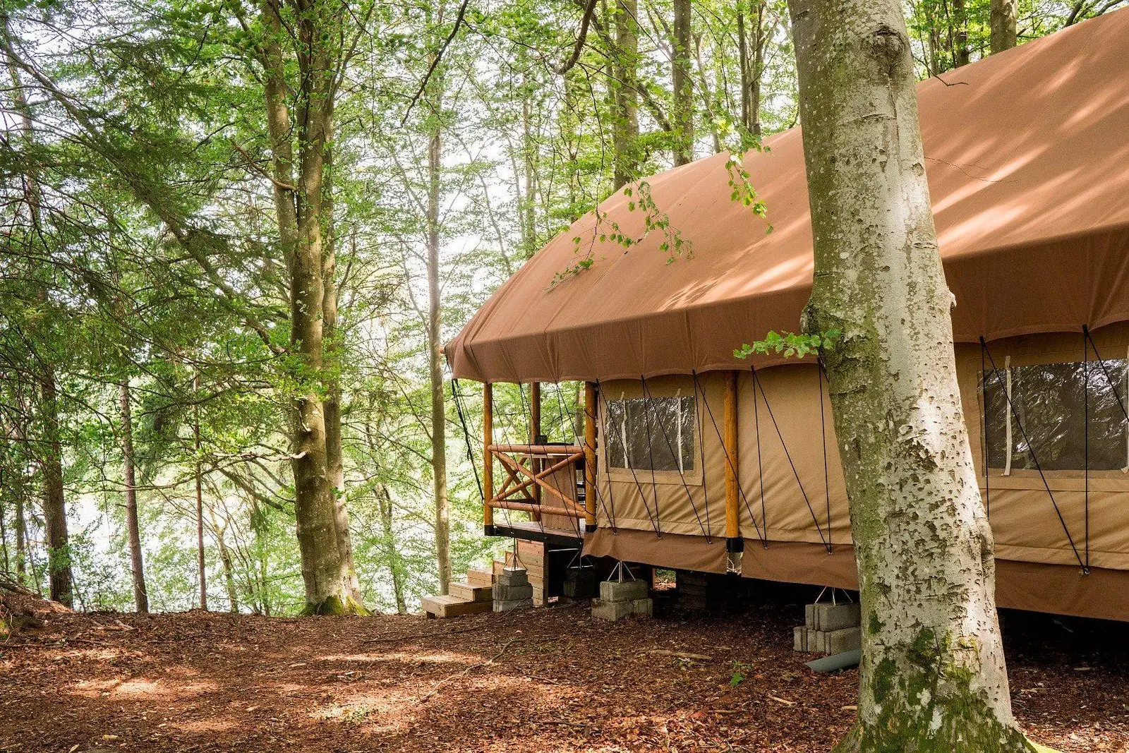 Cabane i Ljungskile – Glamping tent in beech forest – photo 7