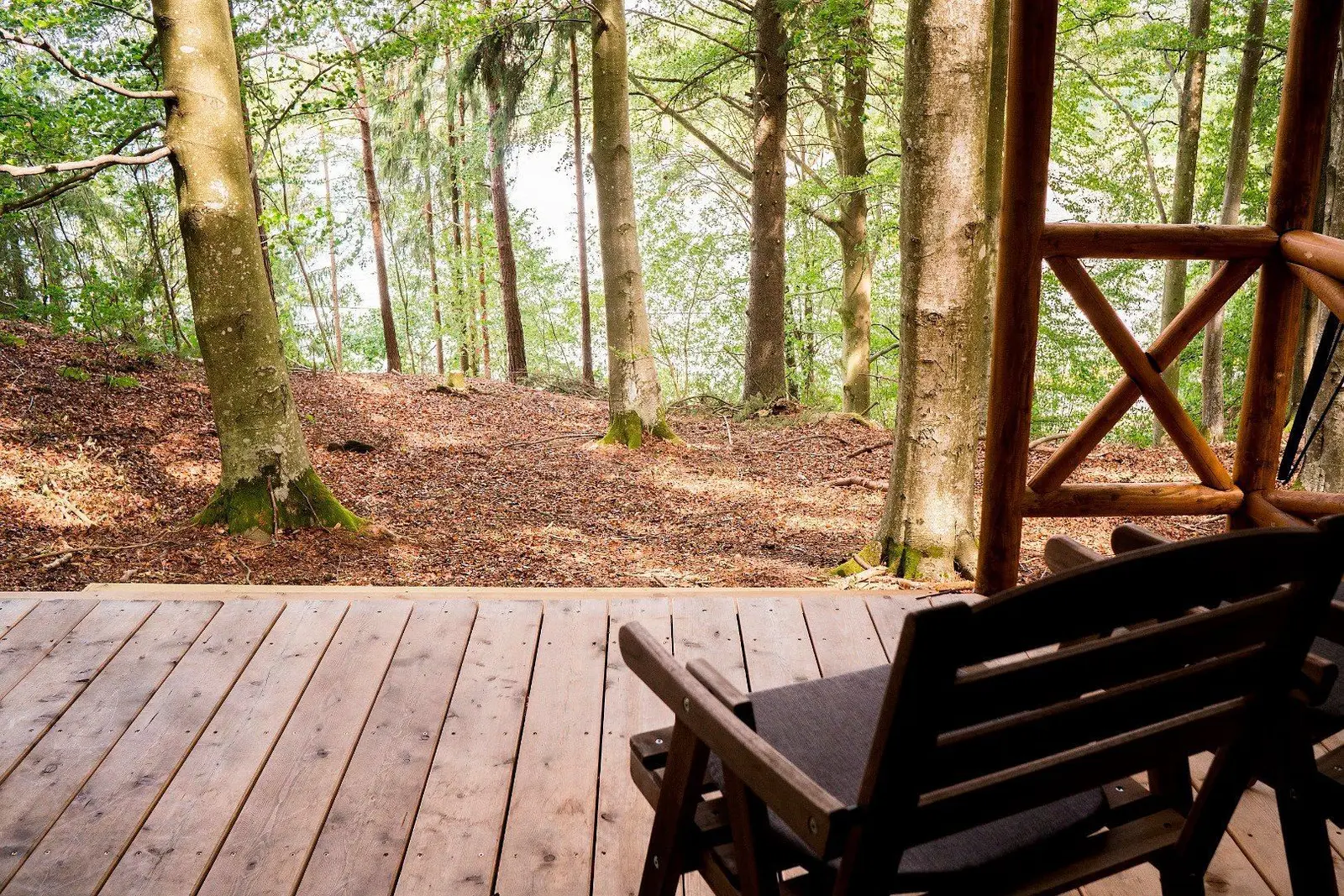 Cabane i Ljungskile – Glamping tent in beech forest – photo 8