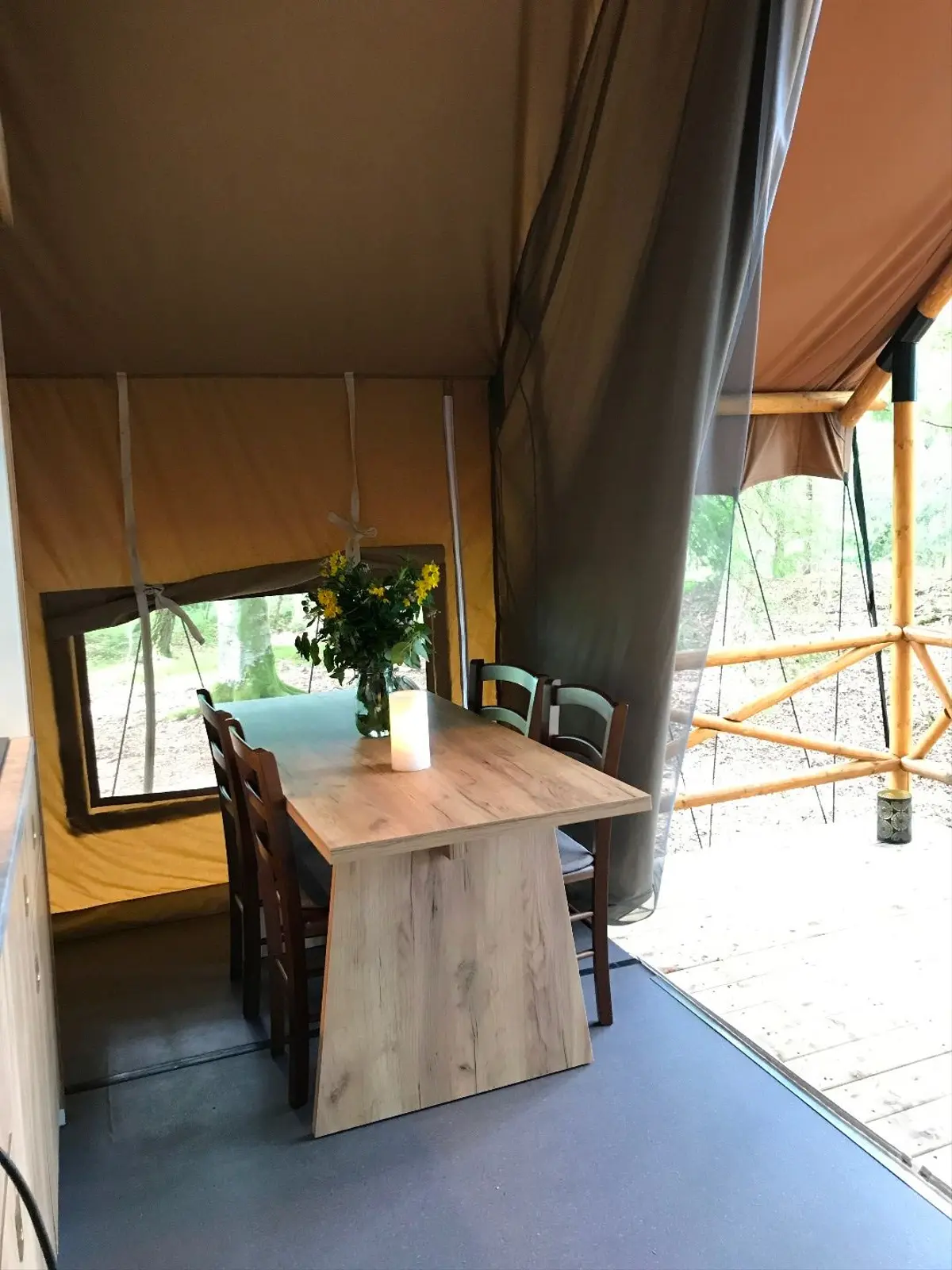 Cabane i Ljungskile – Glamping tent in beech forest – photo 15