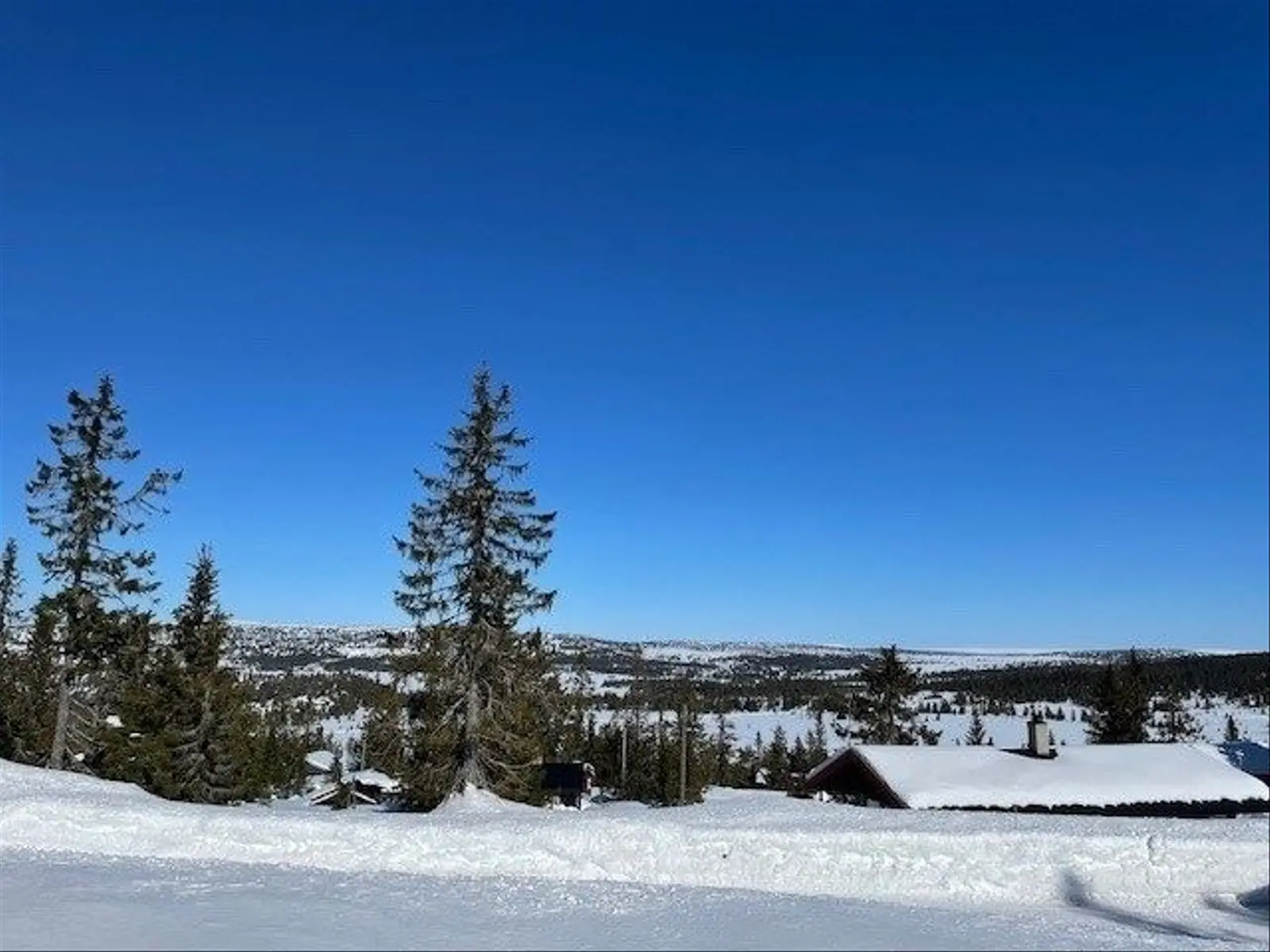 campspace_types.deserted i Sjusjøen – Rømåsen 858