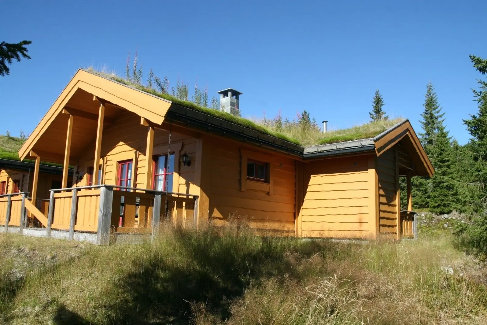 campspace_types.deserted i Sjusjøen – Eftasvegen 103 Nybui