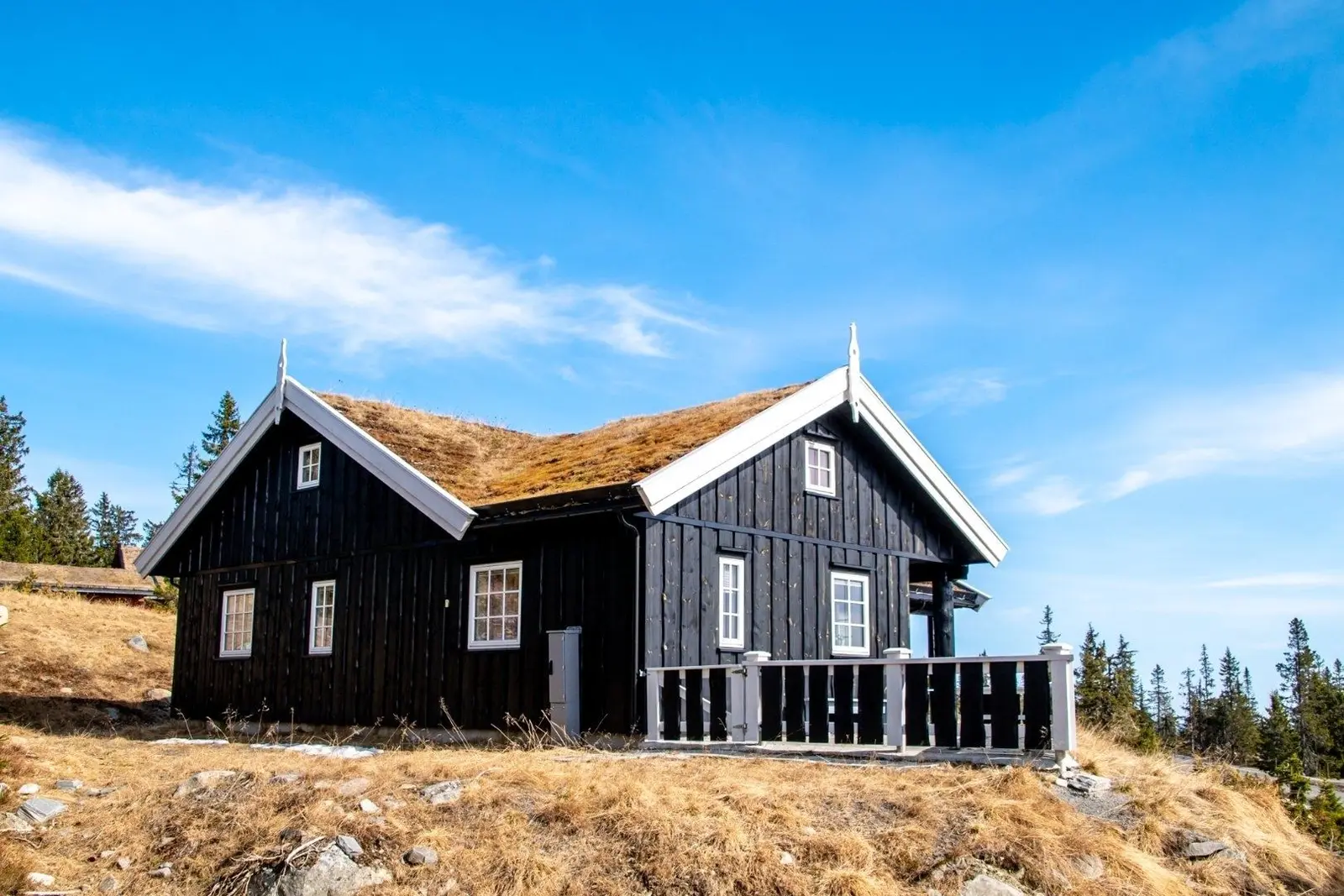 campspace_types.deserted i Sjusjøen – P4403 Hjertebo