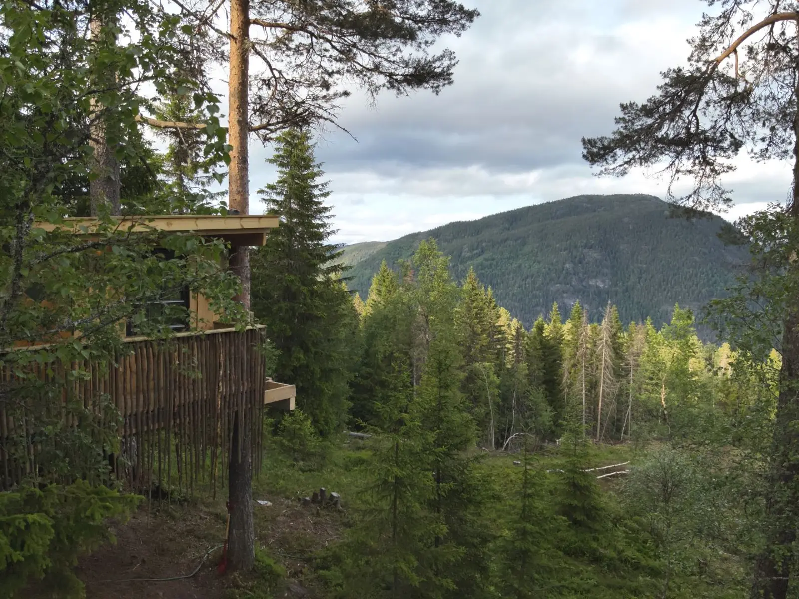 campspace_types.ecological i Dalen – Tree top cabin Ravn