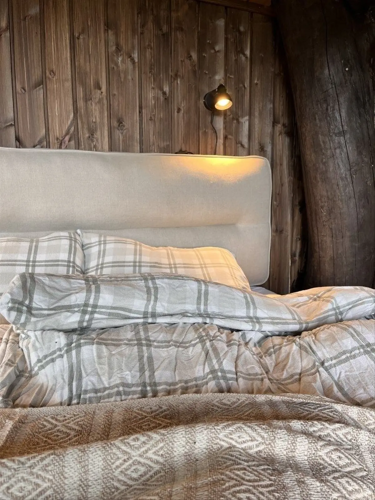 Trætophytte i Dalen – Tree top cabin Ravn – photo 9