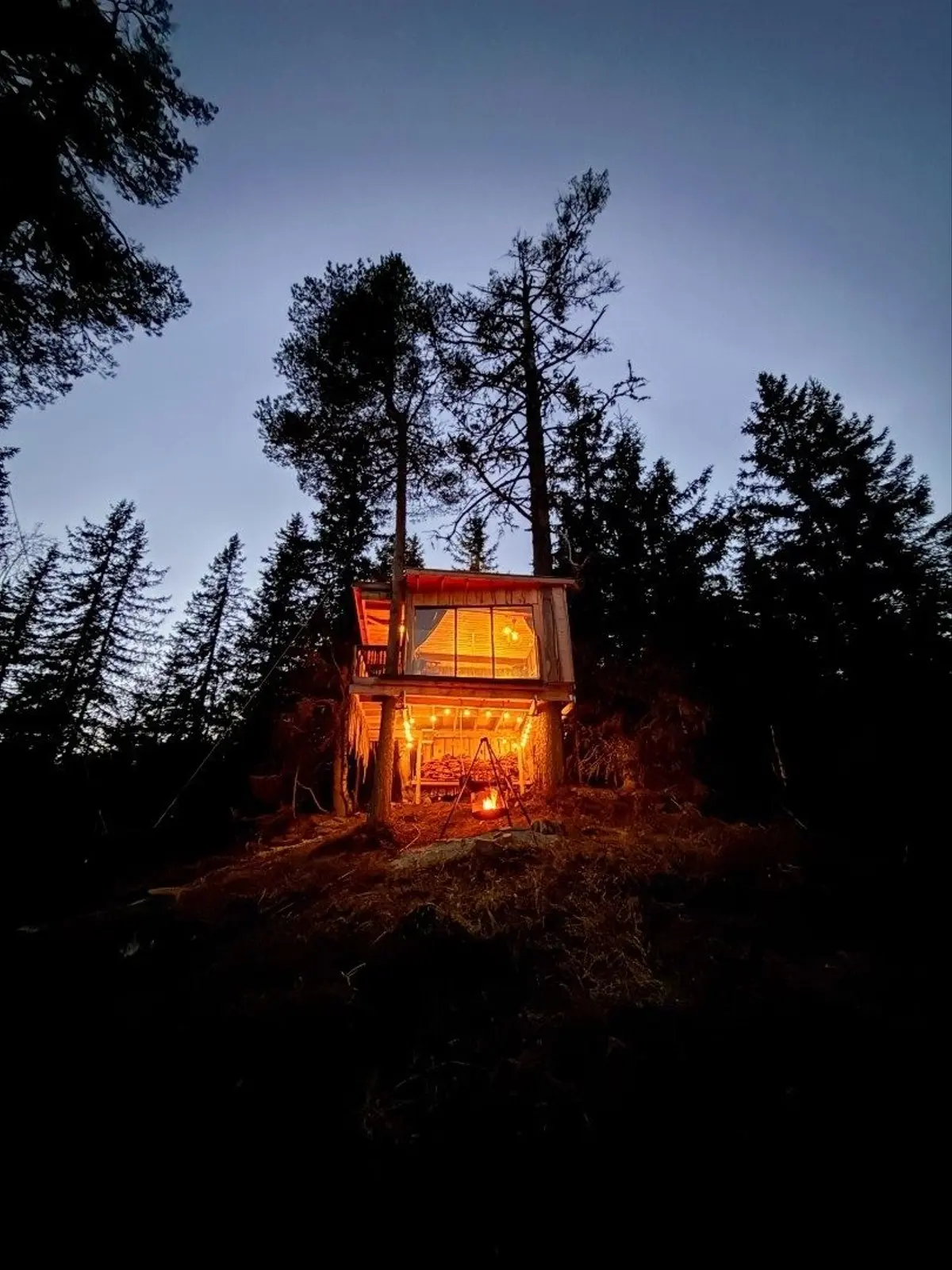 Trætophytte i Dalen – Tree top cabin Ravn – photo 13