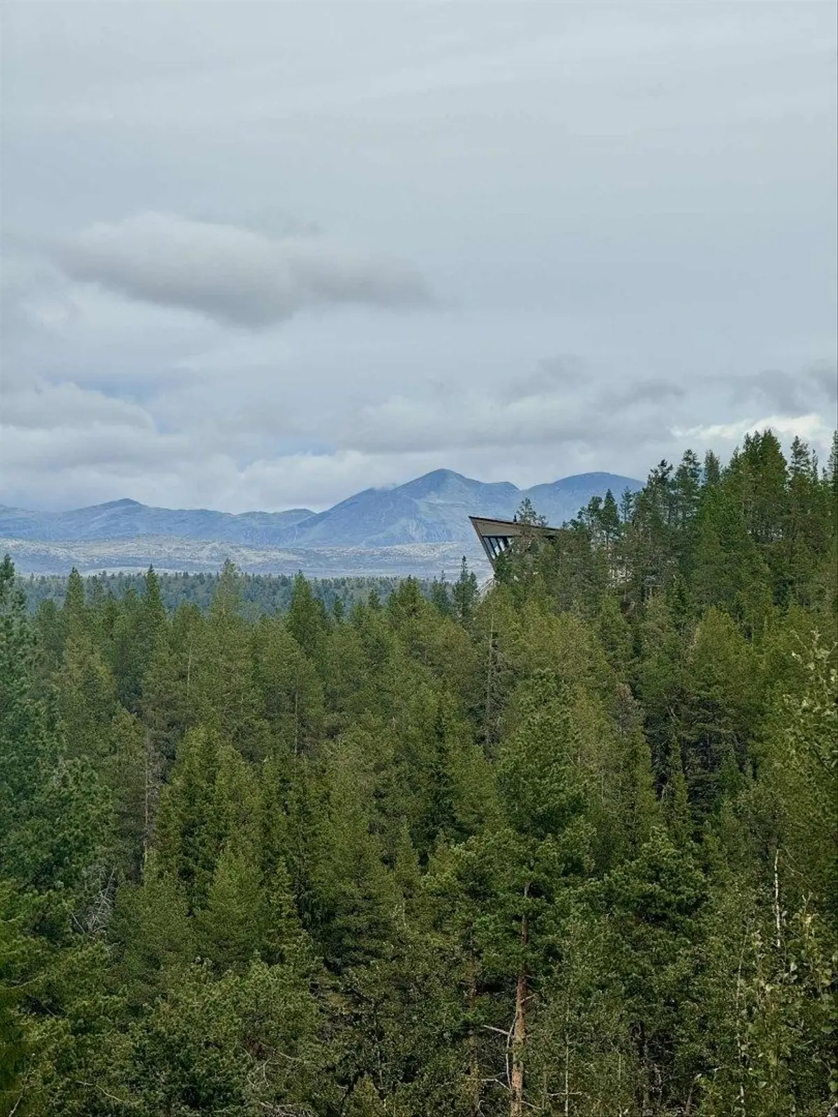 Hytte i Otta – Eagle Nest Eco Lodge – photo 21