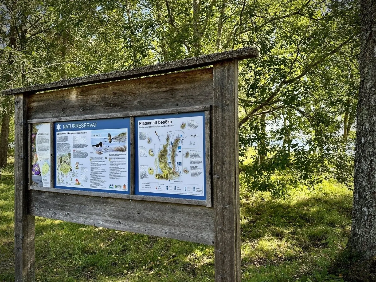 Hytte i Hållnäs – Stay at accommodation Nordkust – photo 23