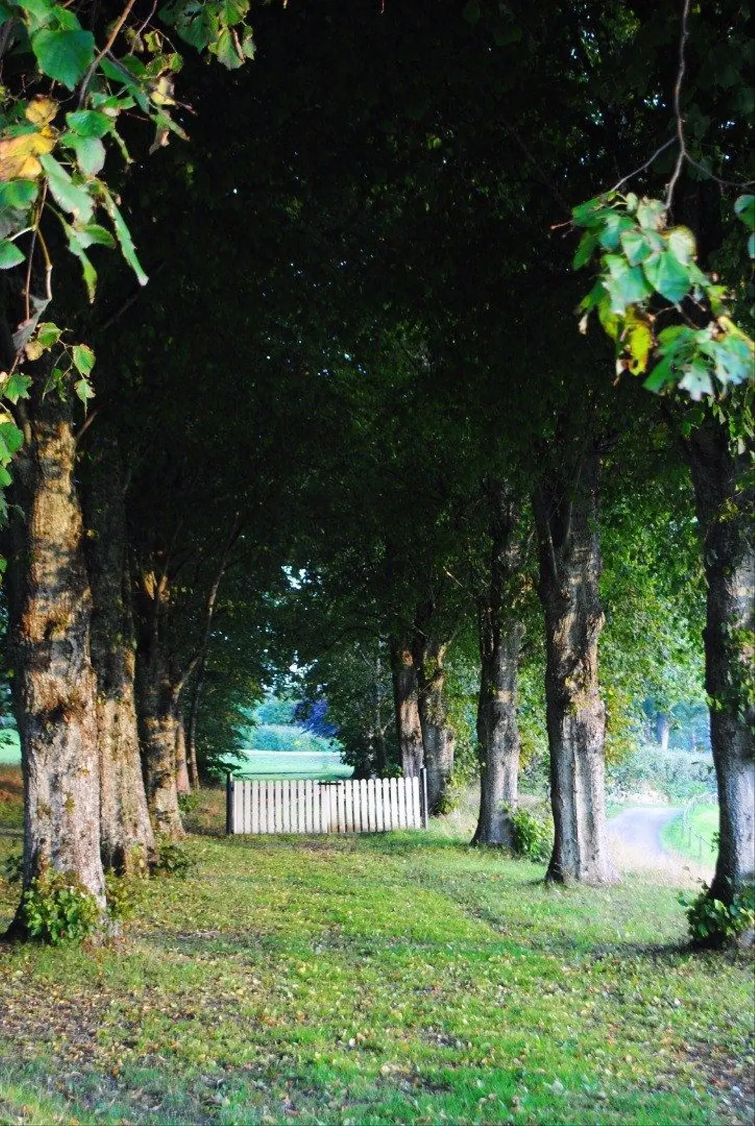 image gallery