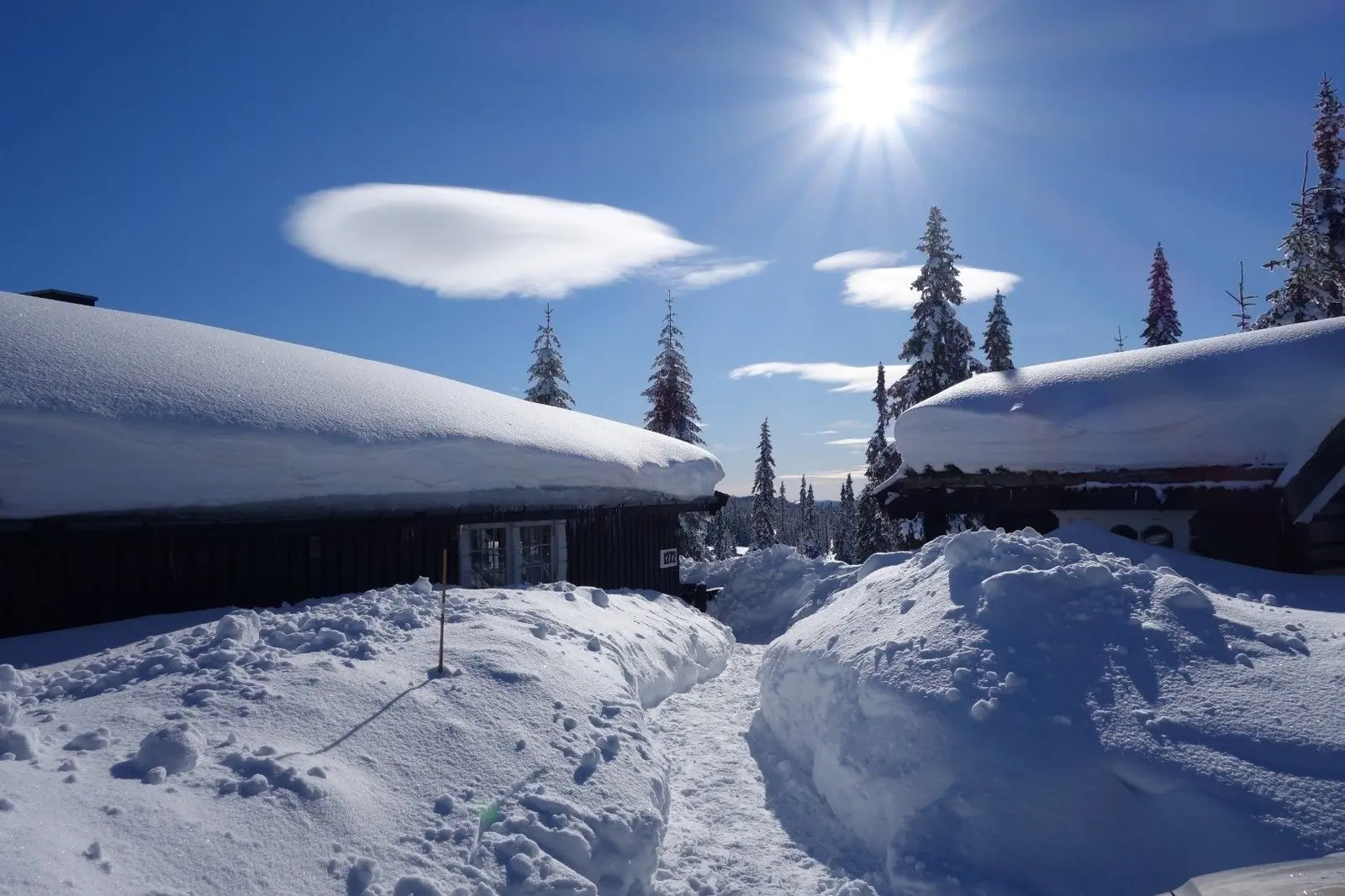 campspace_types.deserted i Sjusjøen – Sjusjøvegen 1831 Bergebu