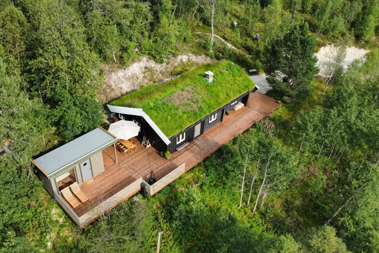 campspace_types.deserted i Sollia – Forest cabin Fjellsyn max 6 persons