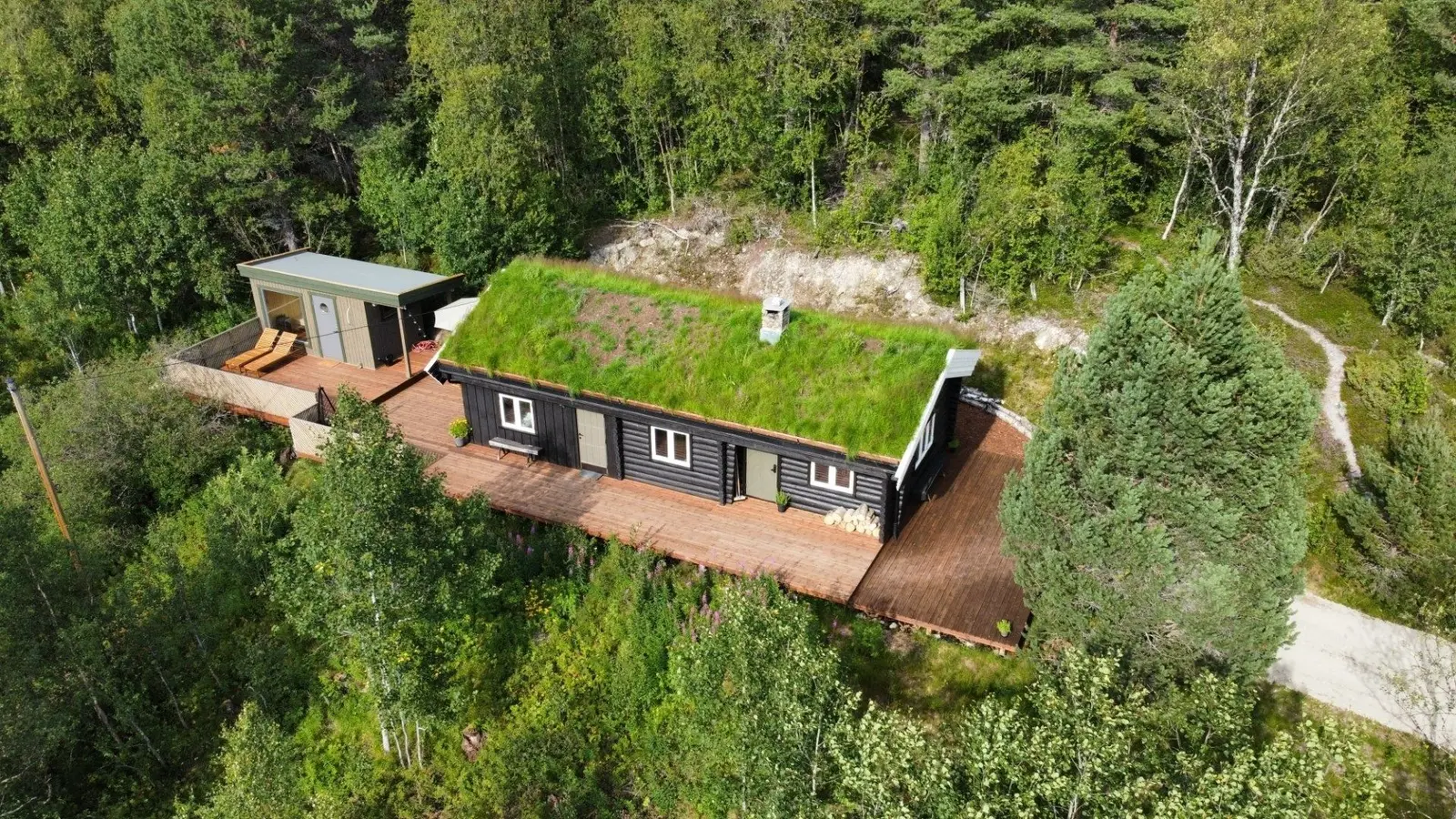 campspace_types.deserted i Sollia – Forest cabin Fjellsyn max 6 persons