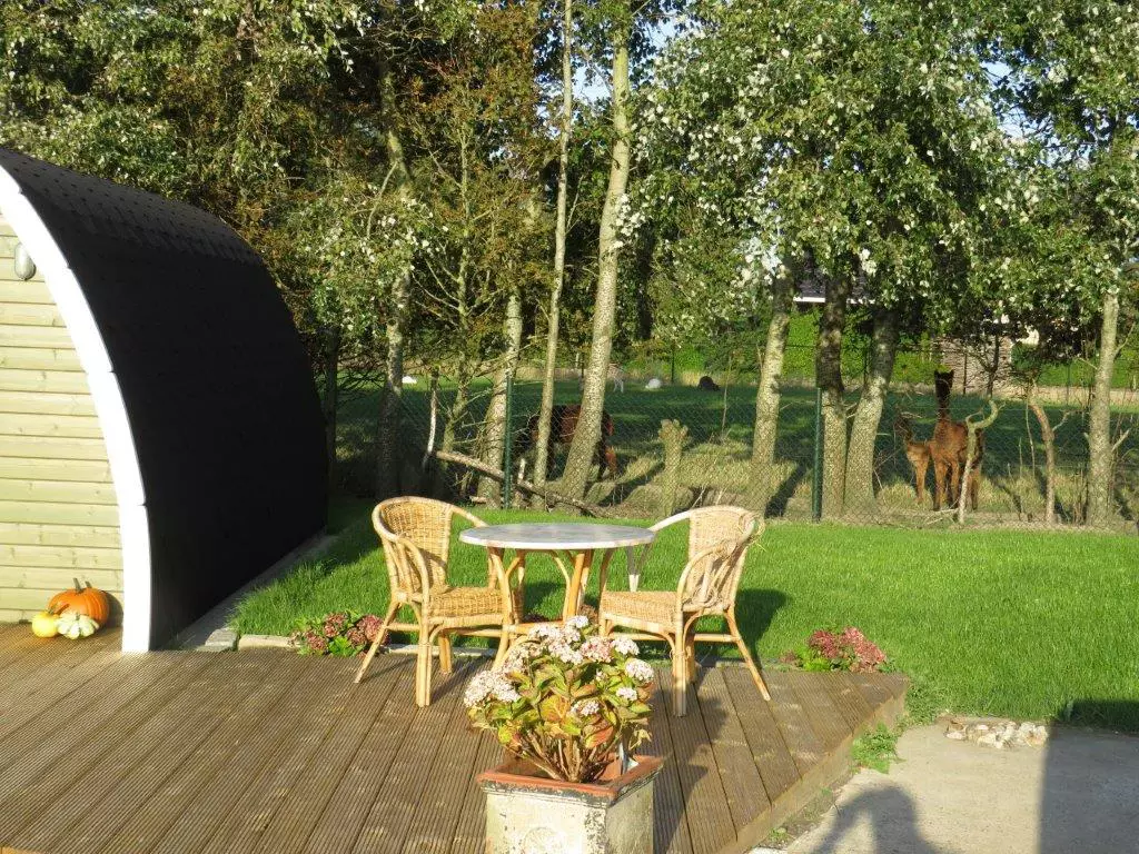 Camping Pod Hoeve Noordveld